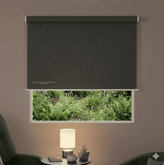 Eco Blackout